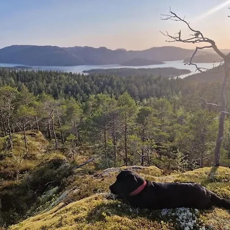 Gjestehus Pa Bondegard, Med Batutleie Namsos Exterior photo