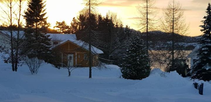 Holiday home Pa Bondegard, Med Batutleie *