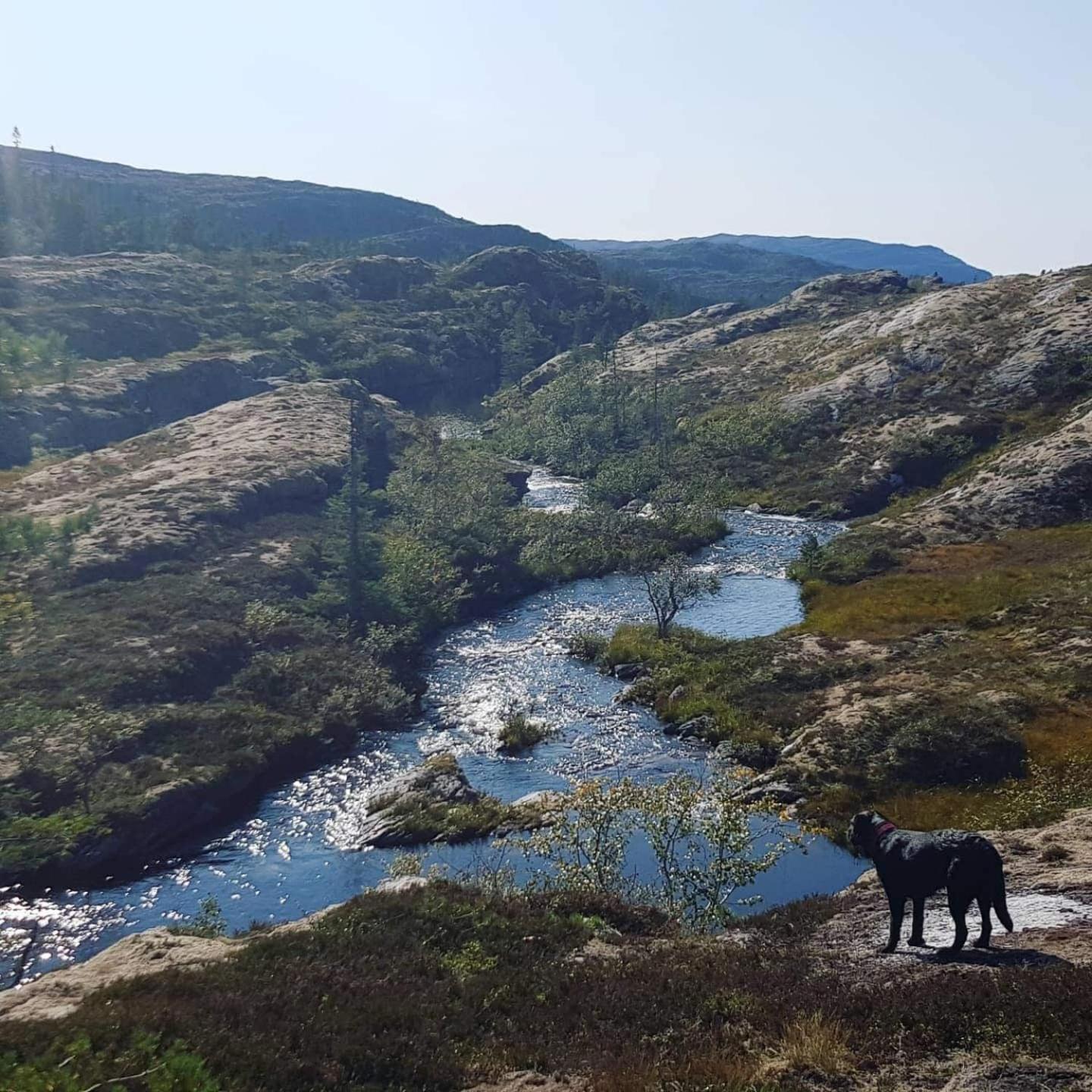 Holiday home Pa Bondegard, Med Batutleie Namsos