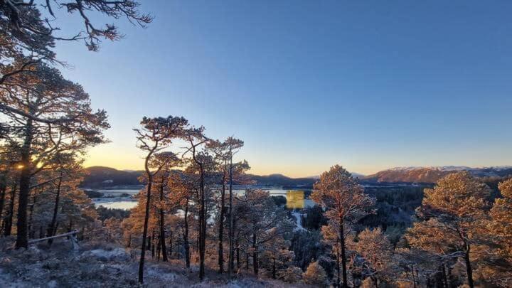 Pa Bondegard, Med Batutleie Holiday home