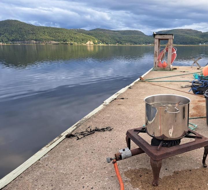 Feriehus Pa Bondegard, Med Batutleie